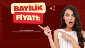 Bayilik Veren Firmalar Emlak Bayiliği 